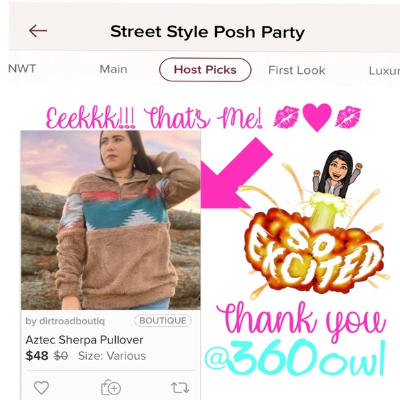 🔥HOST PICK🔥Aztec Sherpa Pullover - Picture 3 of 8